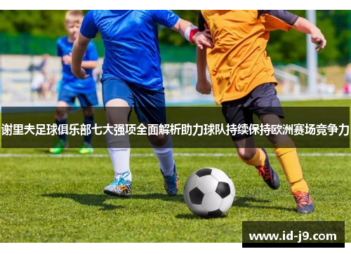 谢里夫足球俱乐部七大强项全面解析助力球队持续保持欧洲赛场竞争力 谢里夫足球俱乐部七大强项全面解析助力球队持续保持欧洲赛场竞争力